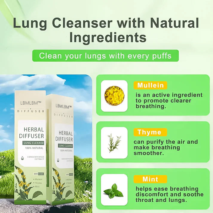 🌿 LBMLBM™ Mullein Aroma Diffuser – Natural Relief for Breathing & Comfort 🌬️